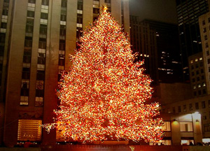 brad_new_york