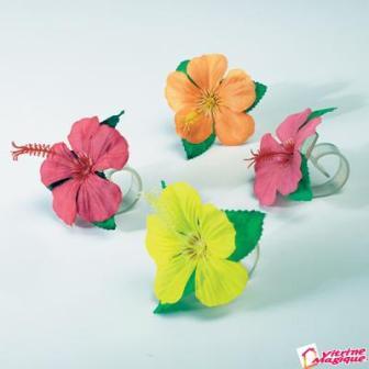clesti_masa_hibiscus