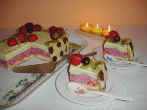 simonanegoita-tortcufructedepadure