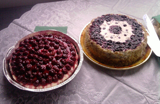 garielasilvialevirda-tortdemorcov