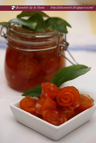 elenaoanaciurea-dulceataflorideportocale
