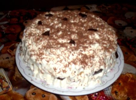 elenaripa-tort