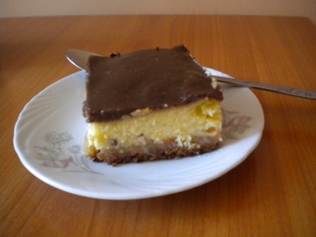 cristinatanase-cheesecakecubudinca